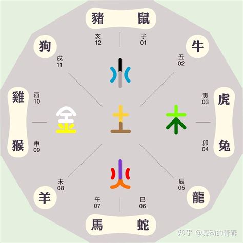 鹿五行属什么|鹿的五行属性是什么